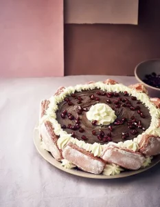 Vacherin-au-chocolat-et-aux-biscuits-roses-de-Reims-min